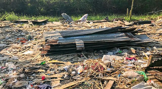 Garden Clearance